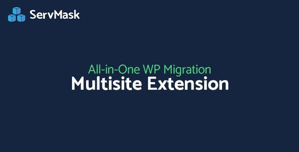 All-in-One WP Migration Multisite