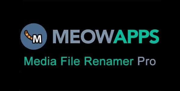 Media File Renamer Pro