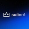 Salient WordPress Theme