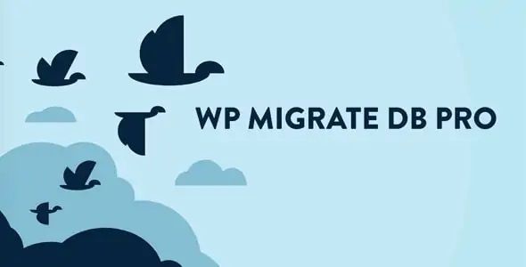 WP Migrate DB Pro