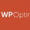 WP-Optimize Premium