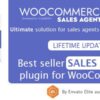 WooCommerce B2B Sales Agents