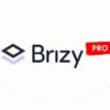 Brizy Pro