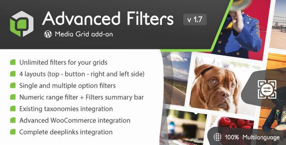 Advanced Filters add-on