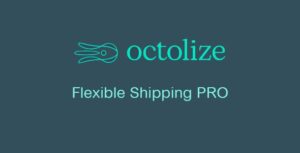 Flexible Shipping PRO